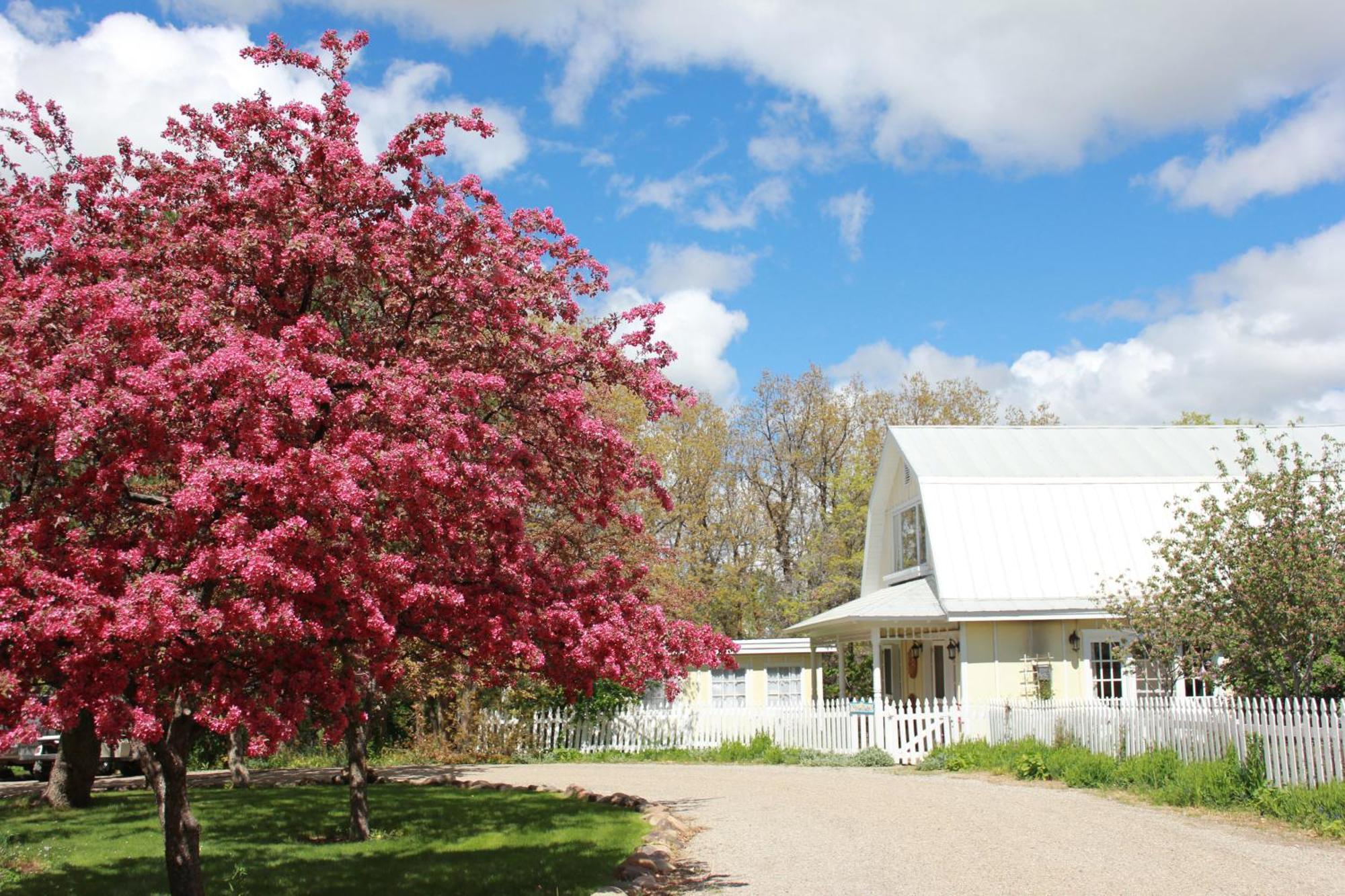 Blue Lake Ranch Hesperus エクステリア 写真